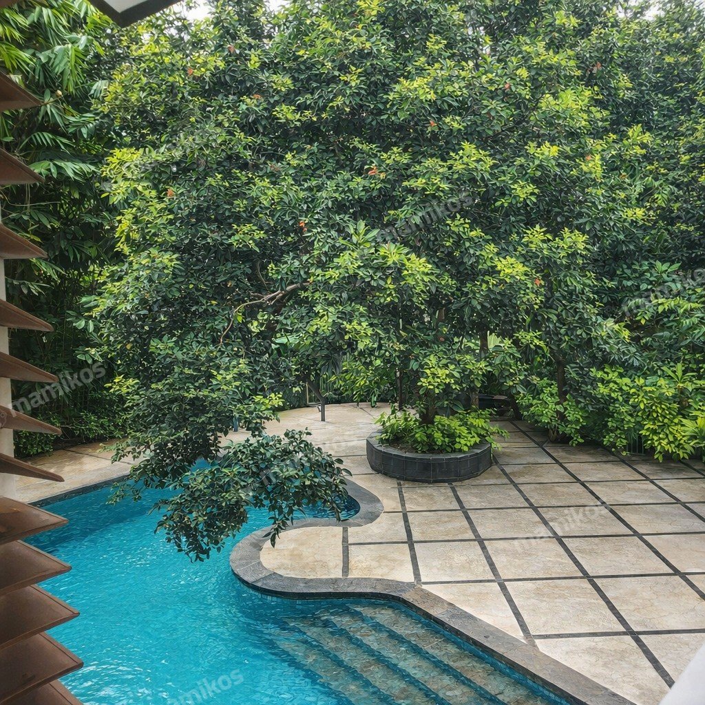 Rumah Sertifikat SHM 6 Kamar Tidur 6 Kamar Mandi Cilandak Jakarta Selatan - Photo 3