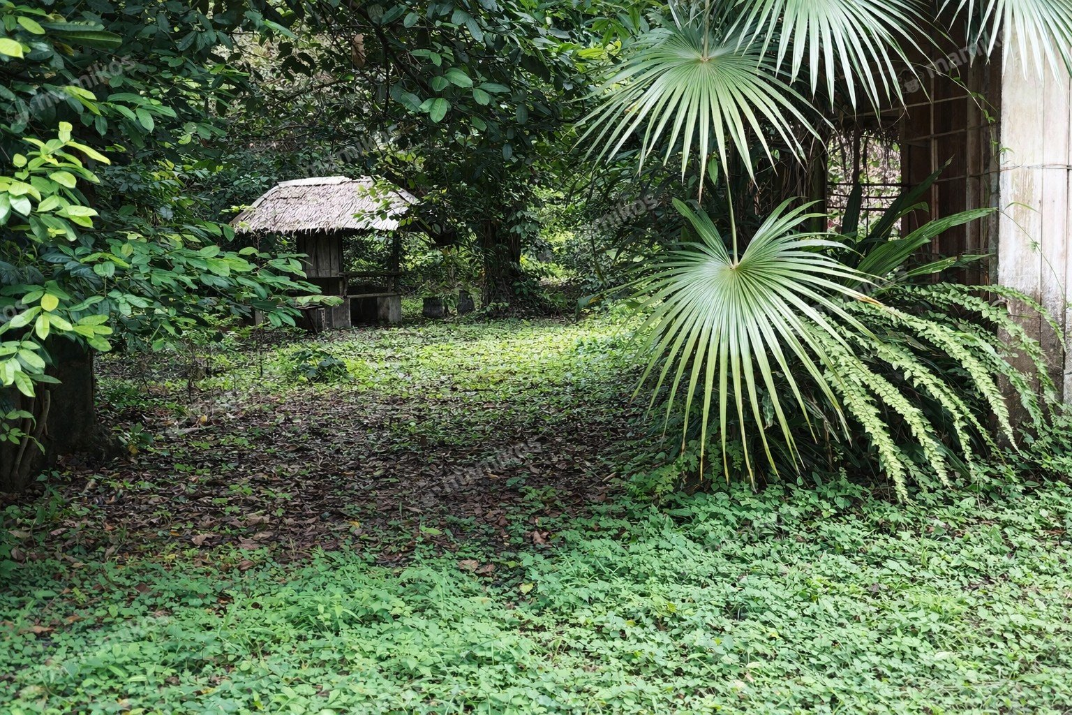 Rumah Sertifikat SHM 1 Lantai Lebak Bulus Jakarta Selatan - Photo 2