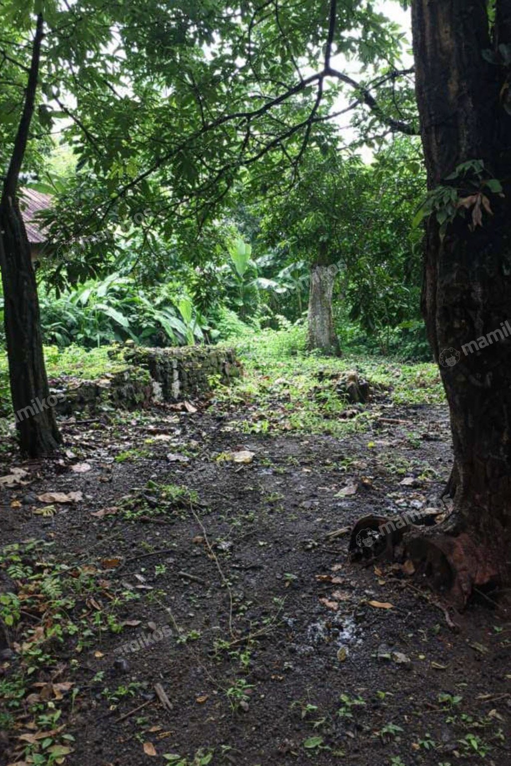Rumah Sertifikat SHM 1 Lantai Lebak Bulus Jakarta Selatan - Photo 3