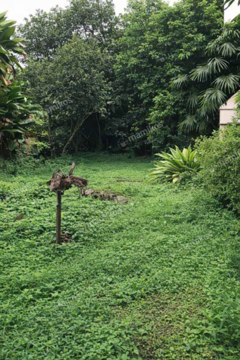 Rumah Sertifikat SHM 1 Lantai Lebak Bulus Jakarta Selatan - Photo 4