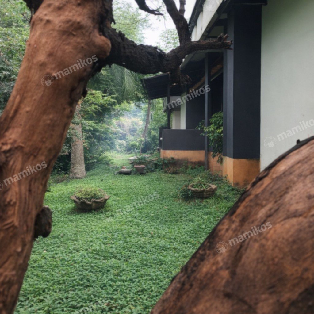 Rumah Sertifikat SHM 8 Kamar Tidur 4 Kamar Mandi Permata Hijau Jakarta Selatan - Photo 2