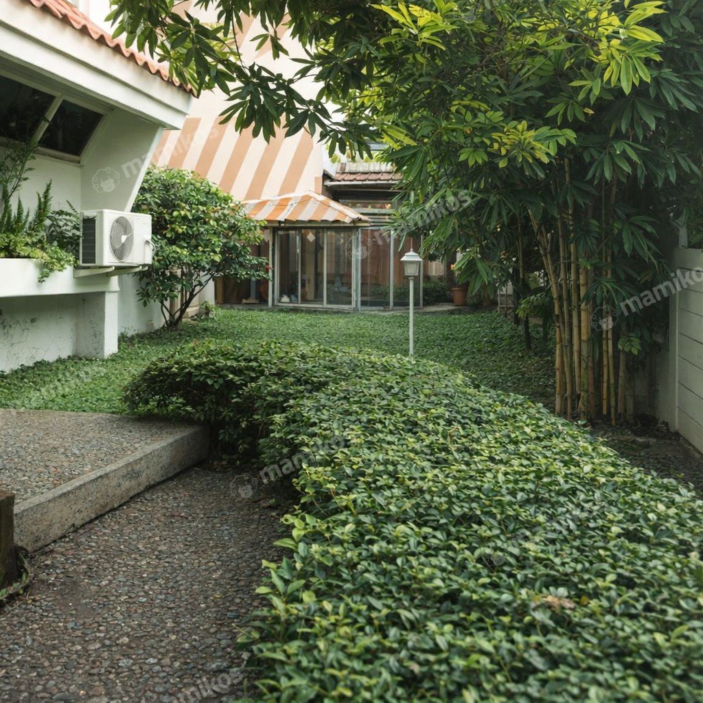 Rumah Sertifikat SHM 4 Kamar Tidur 3 Kamar Mandi Tanjung Duren Jakarta Barat - Photo 2