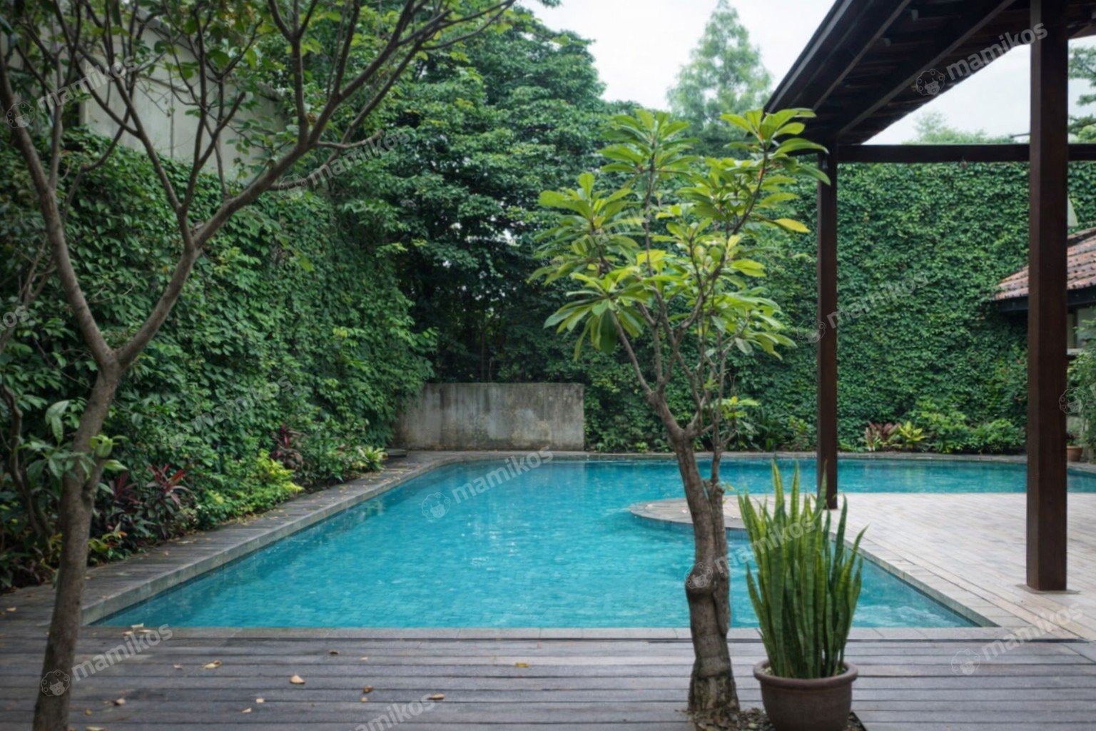 Rumah Sertifikat SHM 5 Kamar Tidur 4 Kamar Mandi Kemang Jakarta Selatan - Photo 2