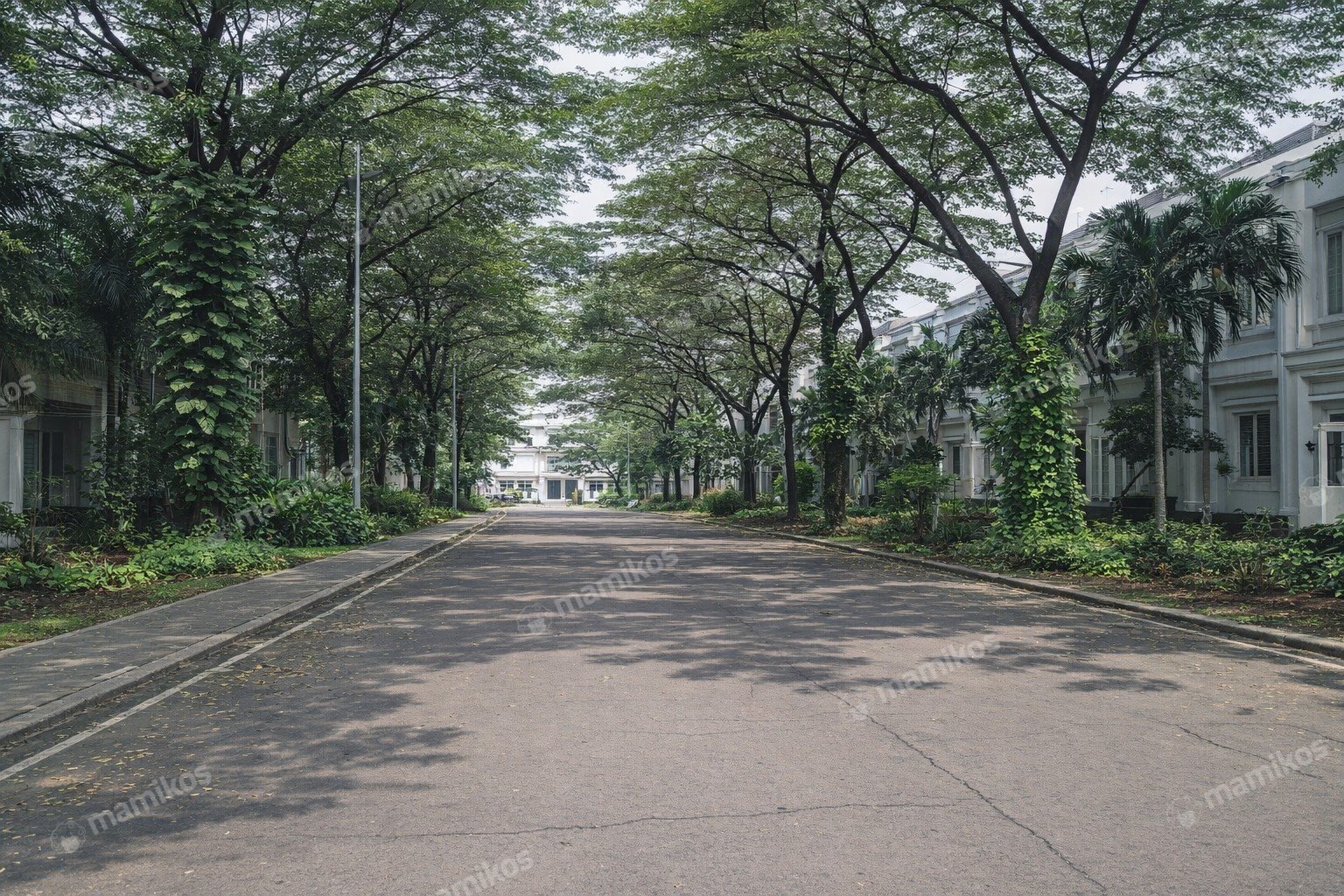 Rumah Sertifikat SHM 3 Kamar Tidur 3 Kamar Mandi Pesanggrahan Jakarta Selatan - Photo 3