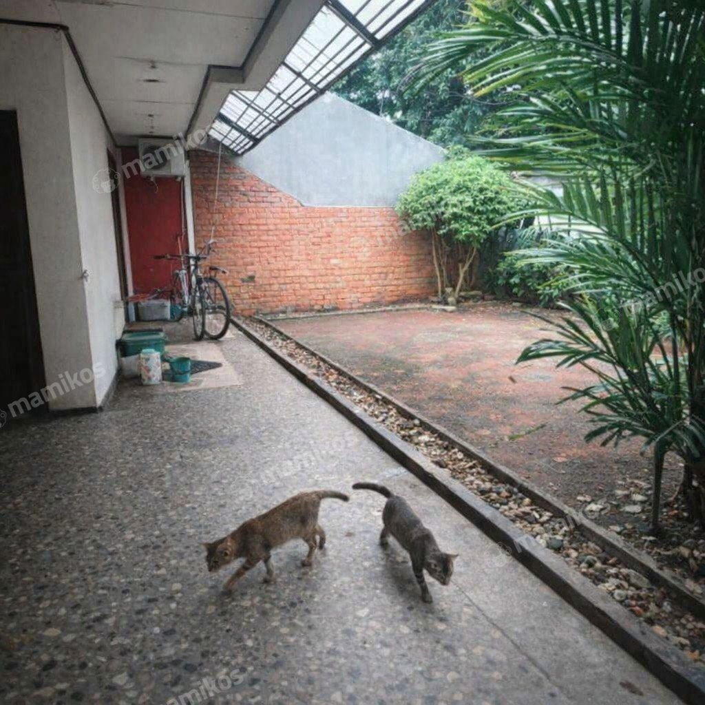 Rumah Sertifikat SHM 5 Kamar Tidur 3 Kamar Mandi S Parman Jakarta Barat - Photo 3