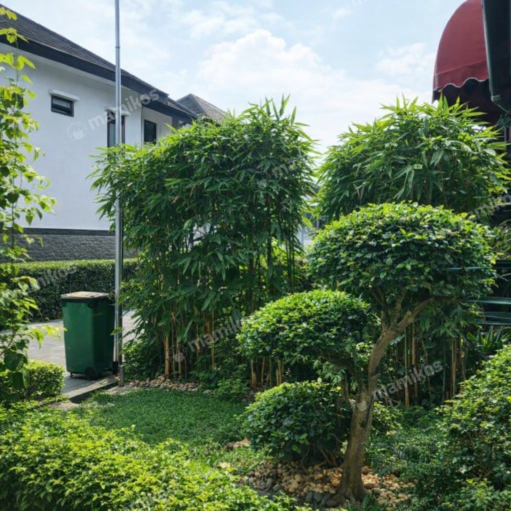 Rumah Sertifikat SHM 5 Kamar Tidur 4 Kamar Mandi Jatiwaringin Jakarta Timur - Photo 3