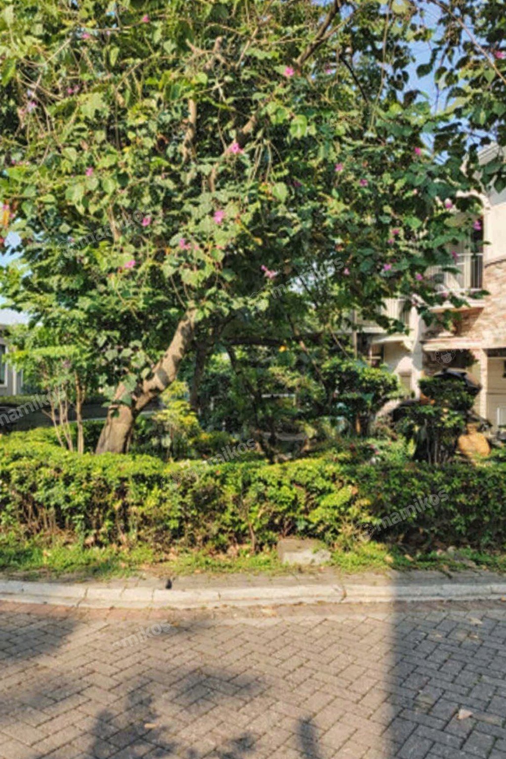 Rumah 2 Kamar Tidur 2 Kamar Mandi 2 Lantai Pantai Indah Kapuk Jakarta Utara - Photo 4