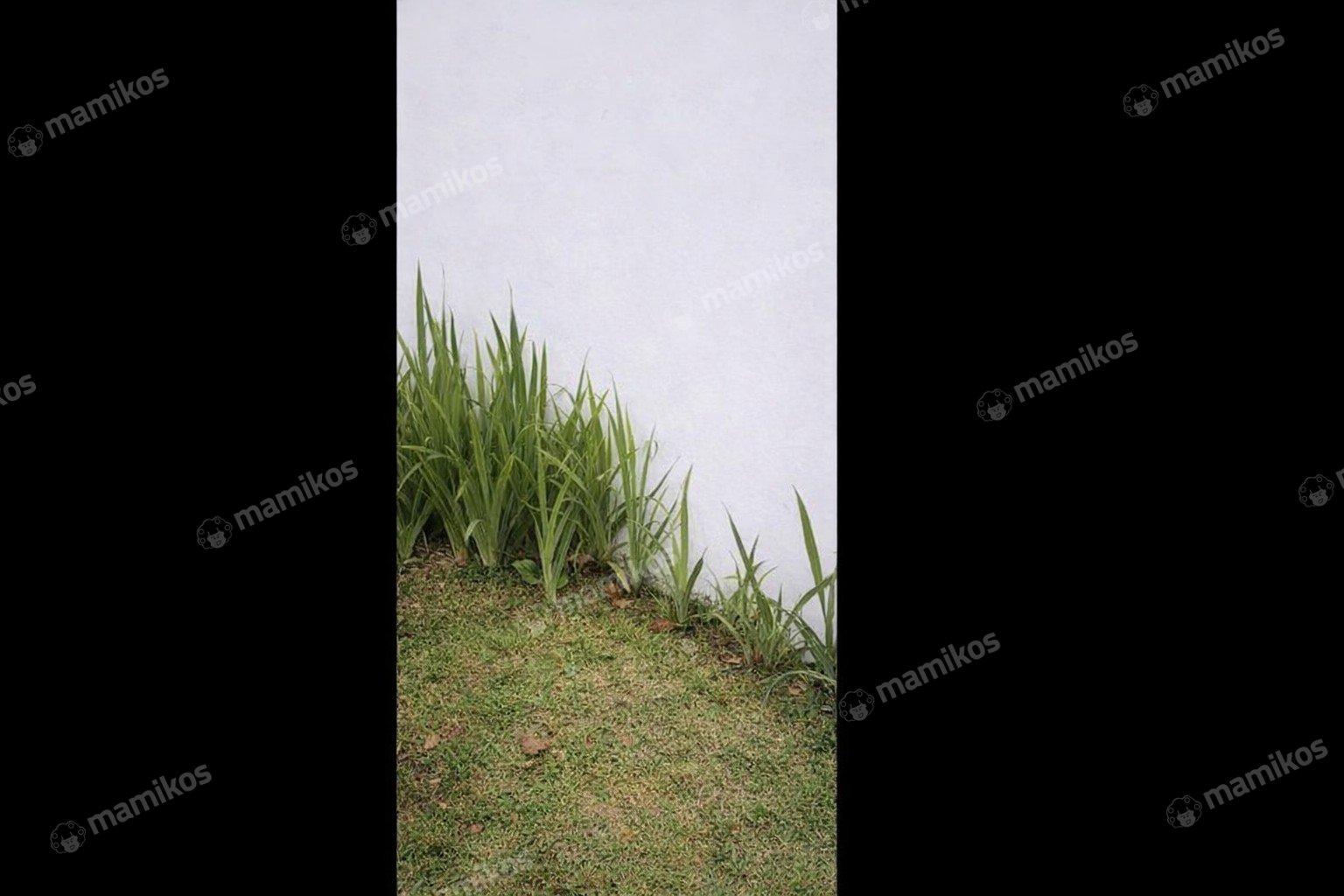 Rumah Sertifikat SHM 3 Kamar Tidur 2 Kamar Mandi Kalisari Jakarta Timur - Photo 2