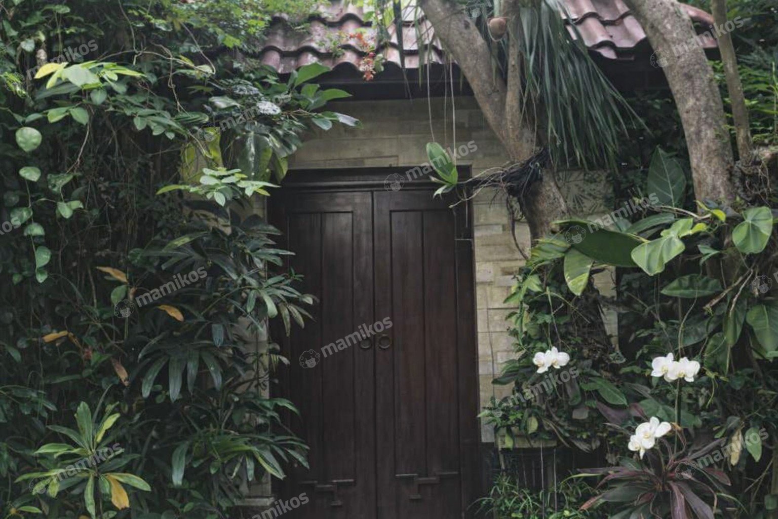 Rumah 5KT 5KM Senayan Jakarta Selatan