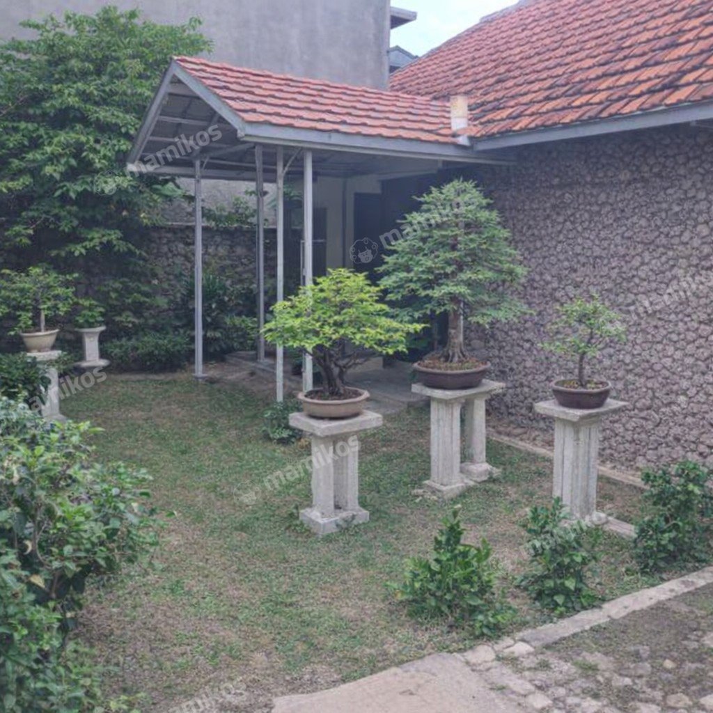 Rumah Sertifikat SHM 3 Kamar Tidur 2 Kamar Mandi Condet Jakarta Timur - Photo 5