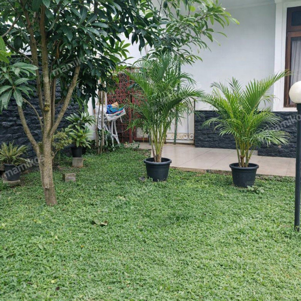 Rumah Sertifikat SHM 4 Kamar Tidur 3 Kamar Mandi Cibubur Jakarta Timur - Photo 5