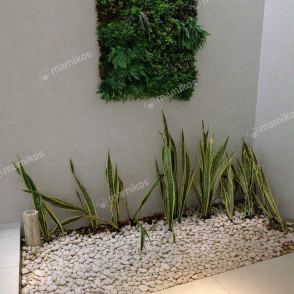 Rumah Sertifikat SHM 3 Kamar Tidur 2 Kamar Mandi Sunrise Garden Jakarta Barat - Photo 5