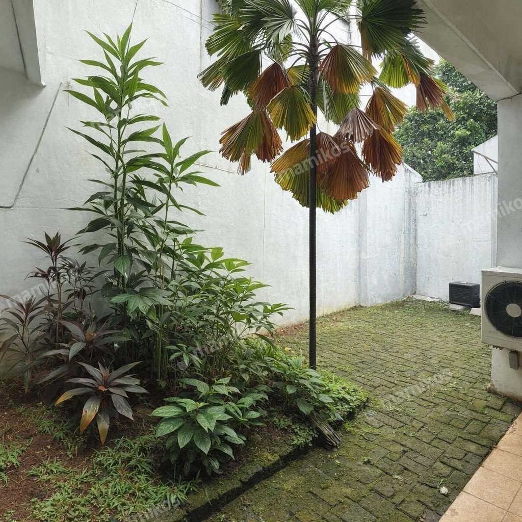 Rumah Sertifikat SHM 4 Kamar Tidur 4 Kamar Mandi Mampang Prapatan Jakarta Selatan - Photo 3