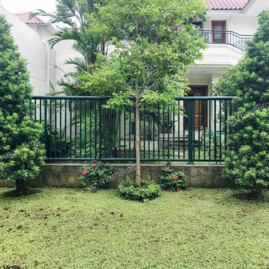 Rumah Sertifikat SHM 4 Kamar Tidur 3 Kamar Mandi Kemang Jakarta Selatan - Photo 3