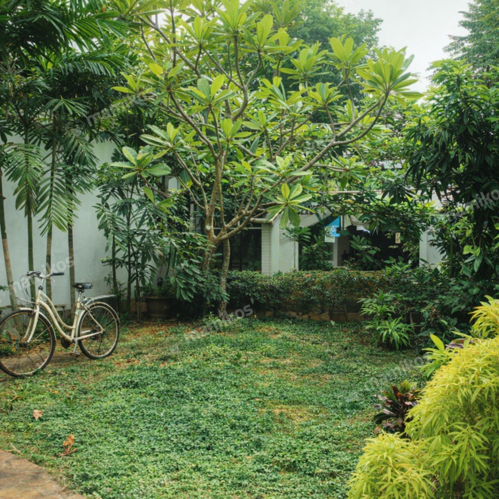Rumah Sertifikat SHM 4 Kamar Tidur 4 Kamar Mandi Tebet Jakarta Selatan - Photo 2