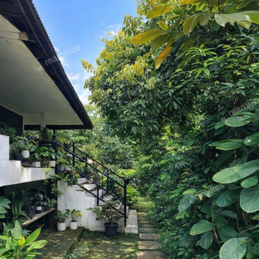 Rumah Sertifikat SHM 6 Kamar Tidur 4 Kamar Mandi Kemang Jakarta Selatan - Photo 5