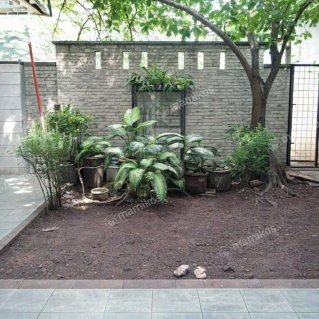 Rumah Sertifikat SHM 4 Kamar Tidur 2 Kamar Mandi Tanah Kusir Jakarta Selatan - Photo 4
