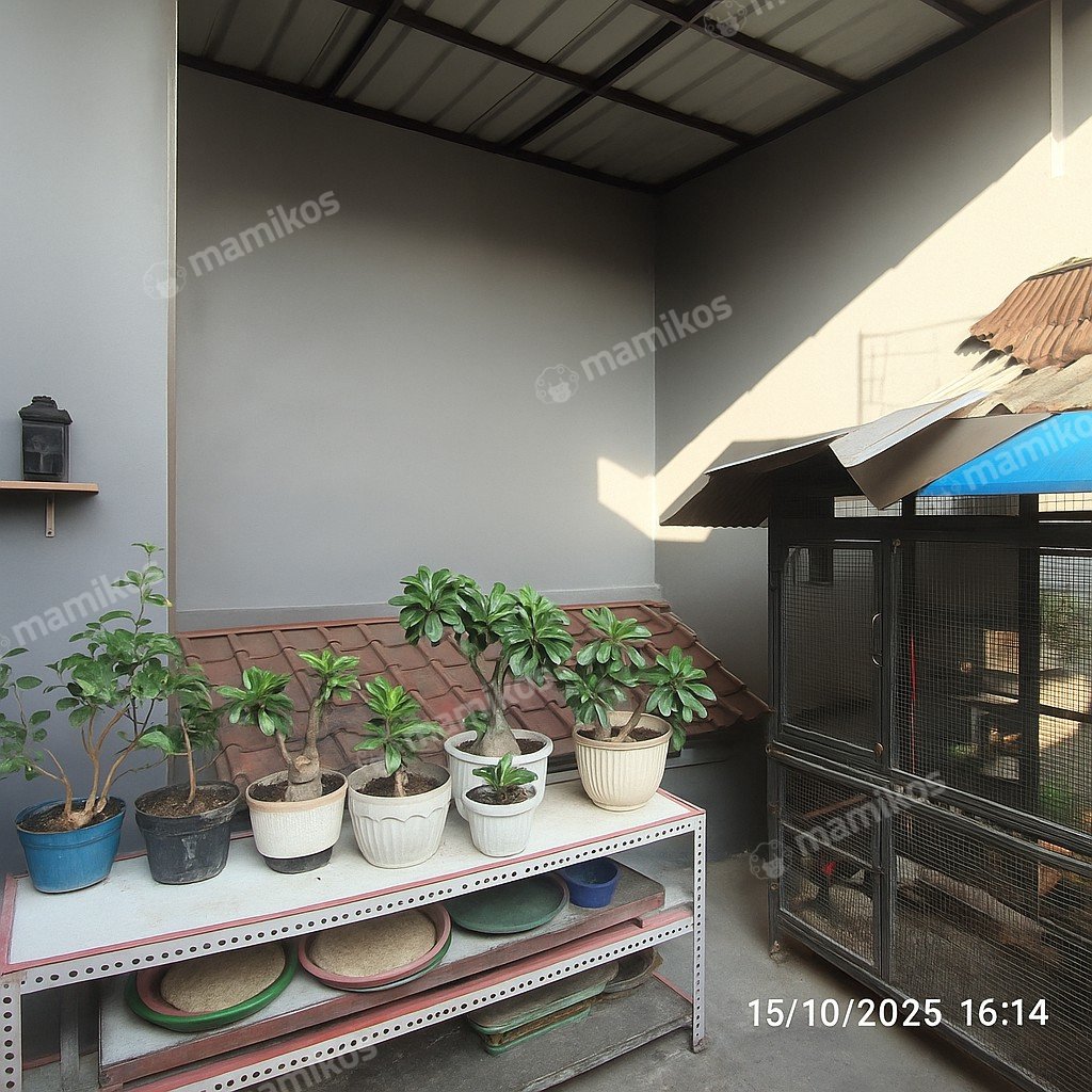 Rumah 4 Kamar Tidur 2 Kamar Mandi 2 Lantai Cengkareng Jakarta Barat - Photo 5