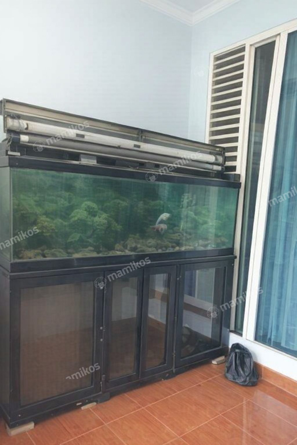 Rumah Sertifikat SHM 5 Kamar Tidur 2 Kamar Mandi Cakung Jakarta Timur - Photo 3