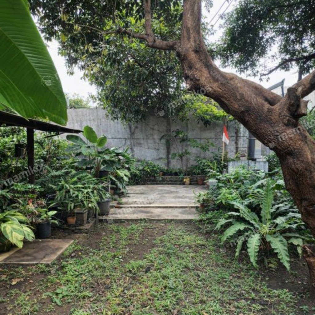 Rumah Sertifikat SHM 4 Kamar Tidur 3 Kamar Mandi Cipete Jakarta Selatan - Photo 5