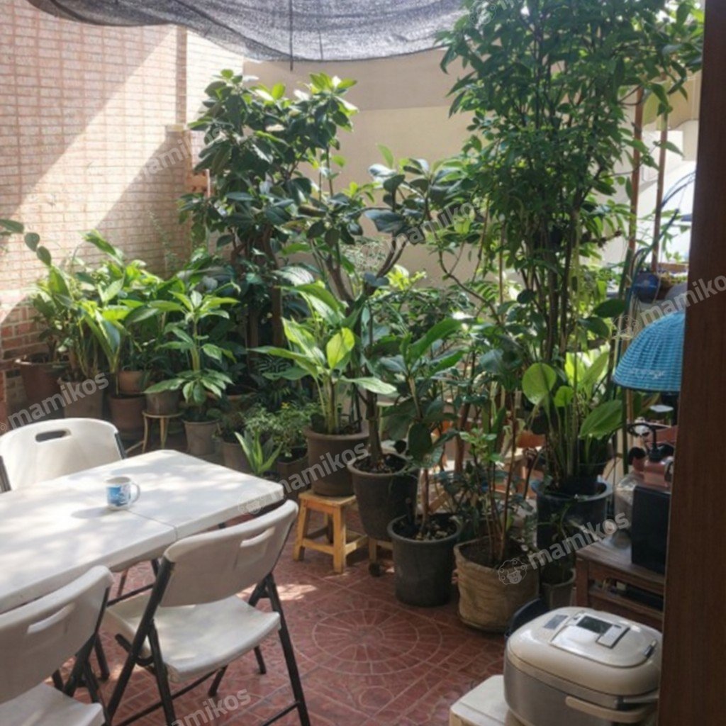 Rumah Sertifikat SHM 4 Kamar Tidur 3 Kamar Mandi Cinere Jakarta Selatan - Photo 2