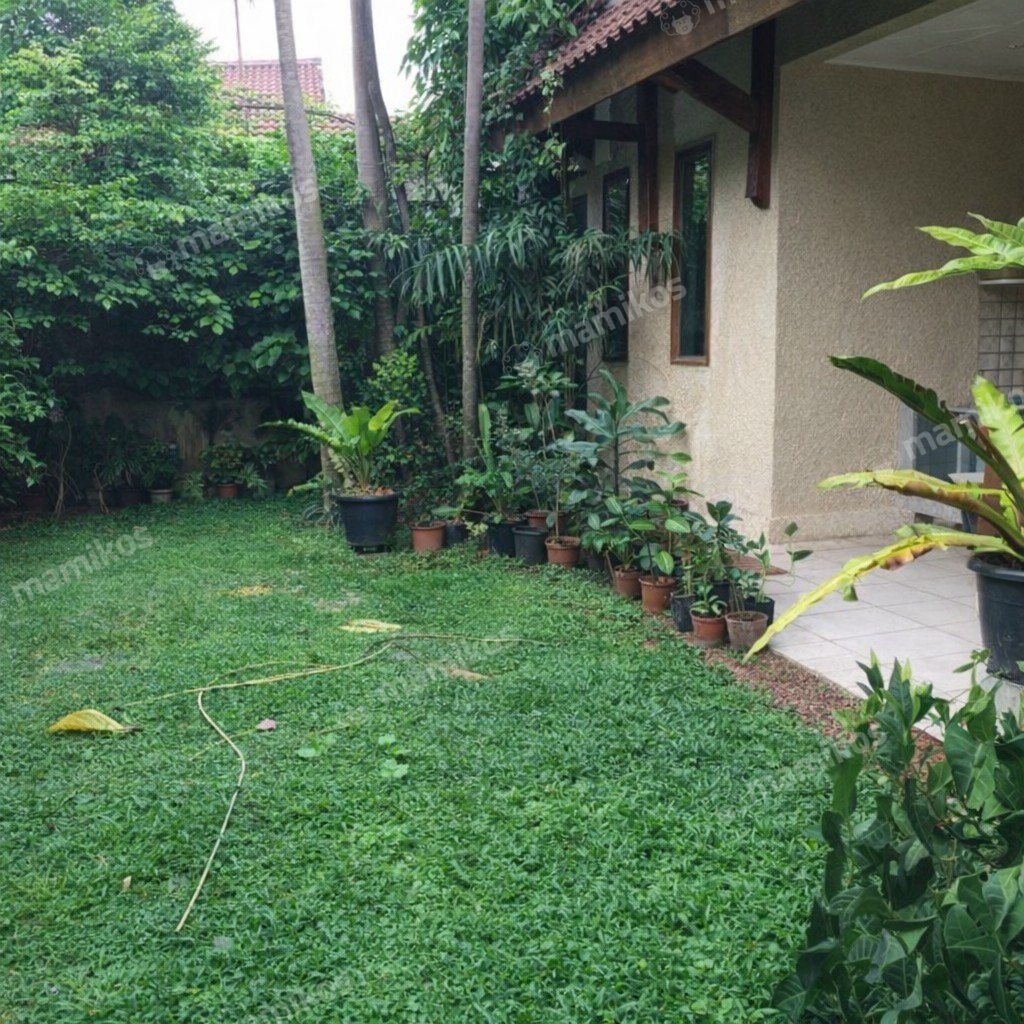 Rumah Sertifikat SHM 4 Kamar Tidur 3 Kamar Mandi Cinere Jakarta Selatan - Photo 4