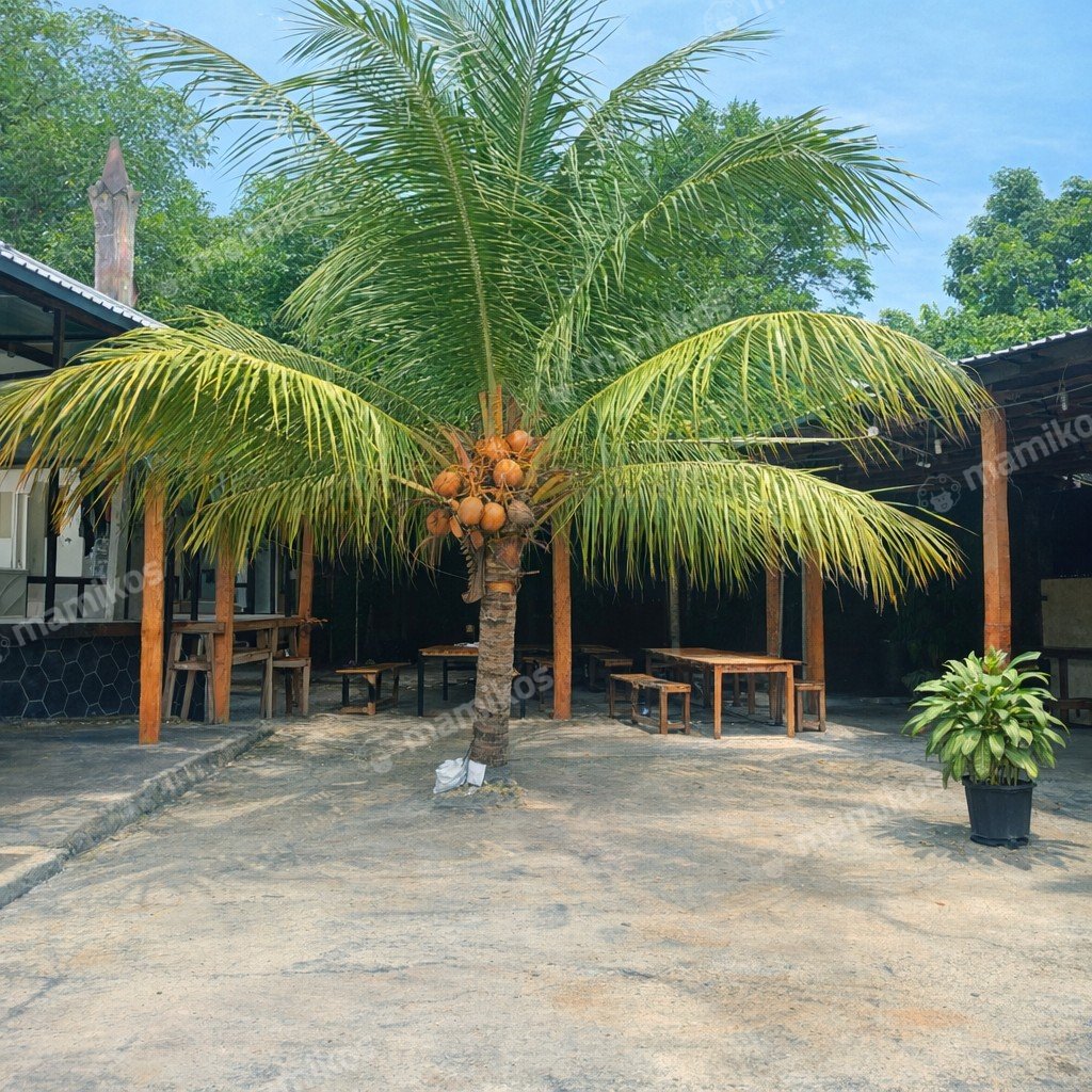 Rumah Sertifikat SHM 3 Kamar Tidur 2 Kamar Mandi Tanjung Duren Jakarta Barat - Photo 3