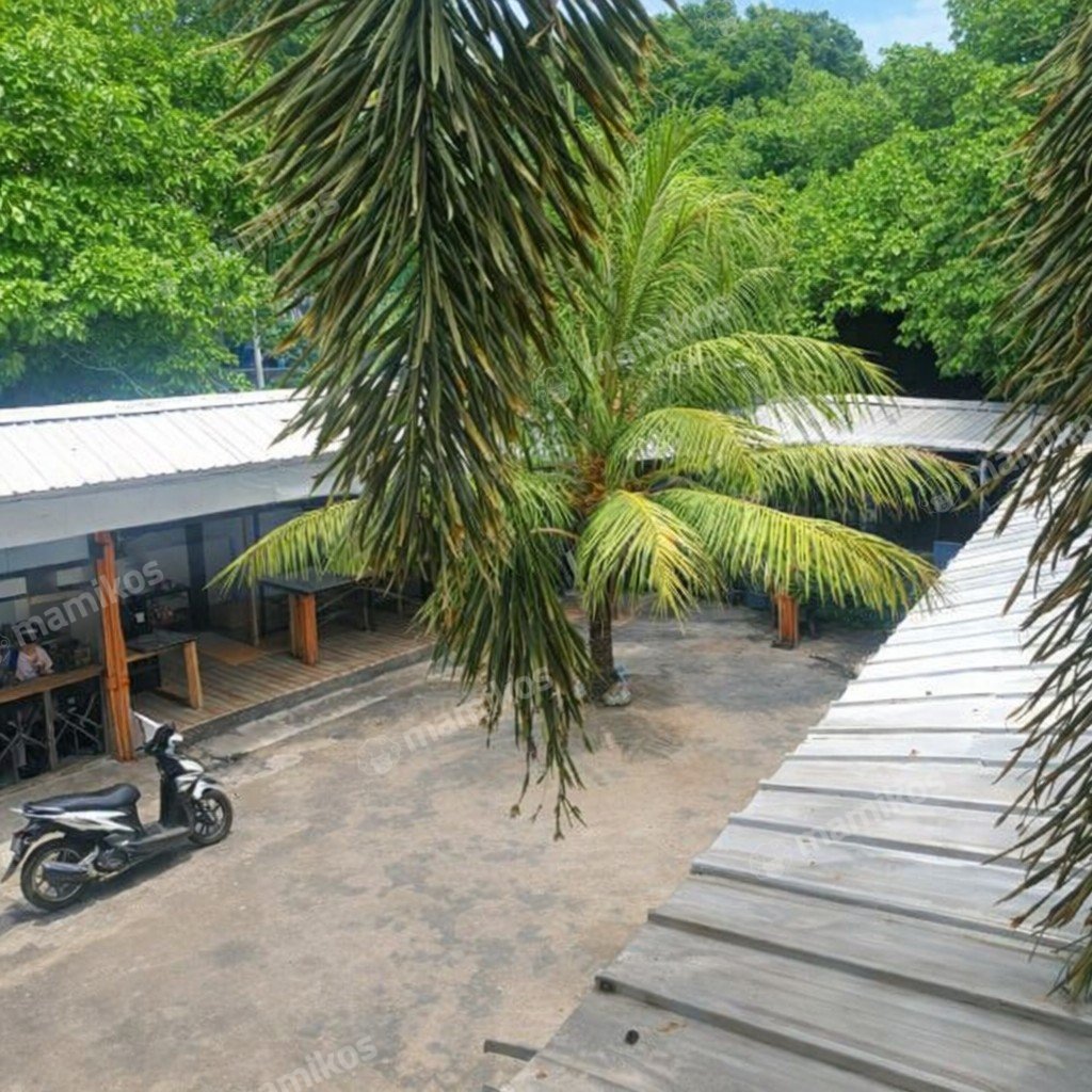 Rumah Sertifikat SHM 3 Kamar Tidur 2 Kamar Mandi Tanjung Duren Jakarta Barat - Photo 5