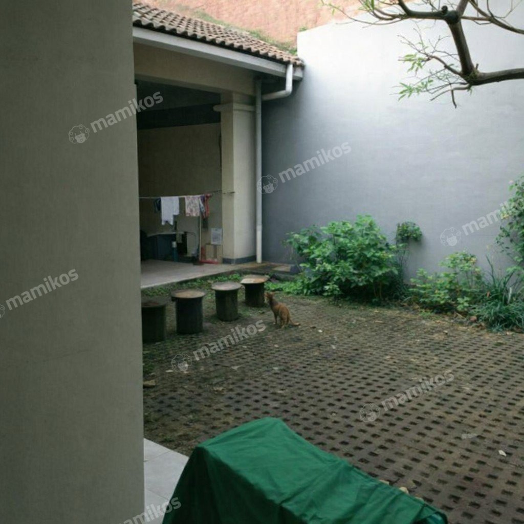 Rumah Sertifikat SHM 6 Kamar Tidur 3 Kamar Mandi Jati Padang Jakarta Selatan - Photo 4
