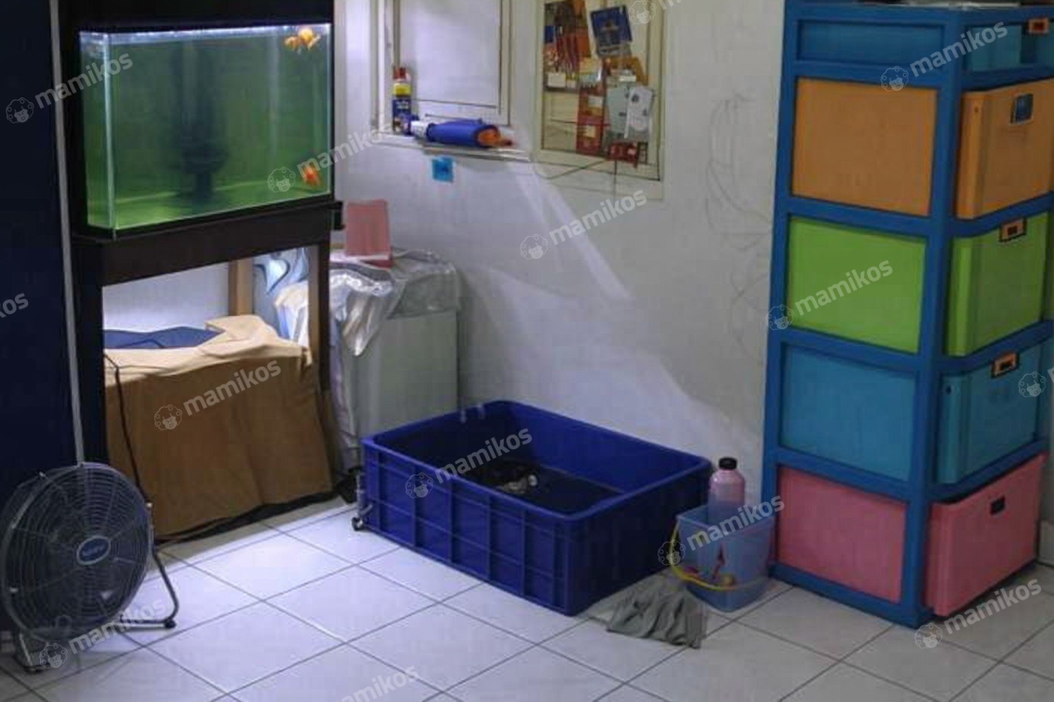 Rumah Sertifikat SHM 2 Kamar Tidur 2 Kamar Mandi Citra Garden Jakarta Barat