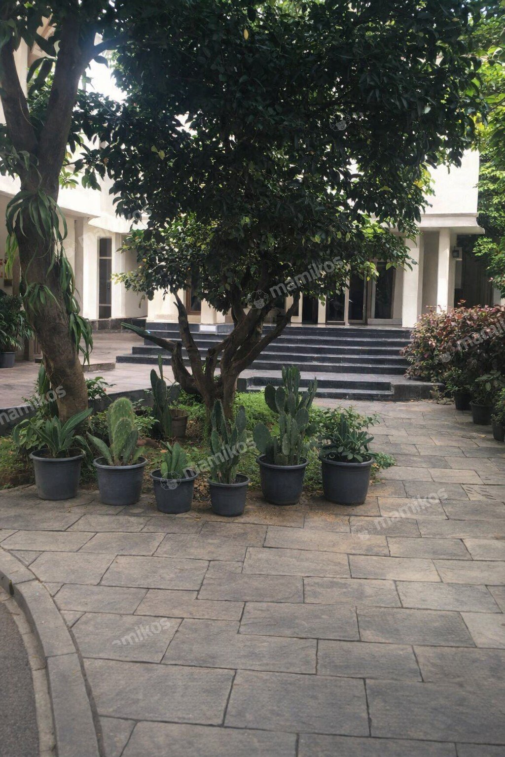 Rumah 5 Kamar Tidur 6 Kamar Mandi 1 Lantai Joglo Jakarta Barat - Photo 4