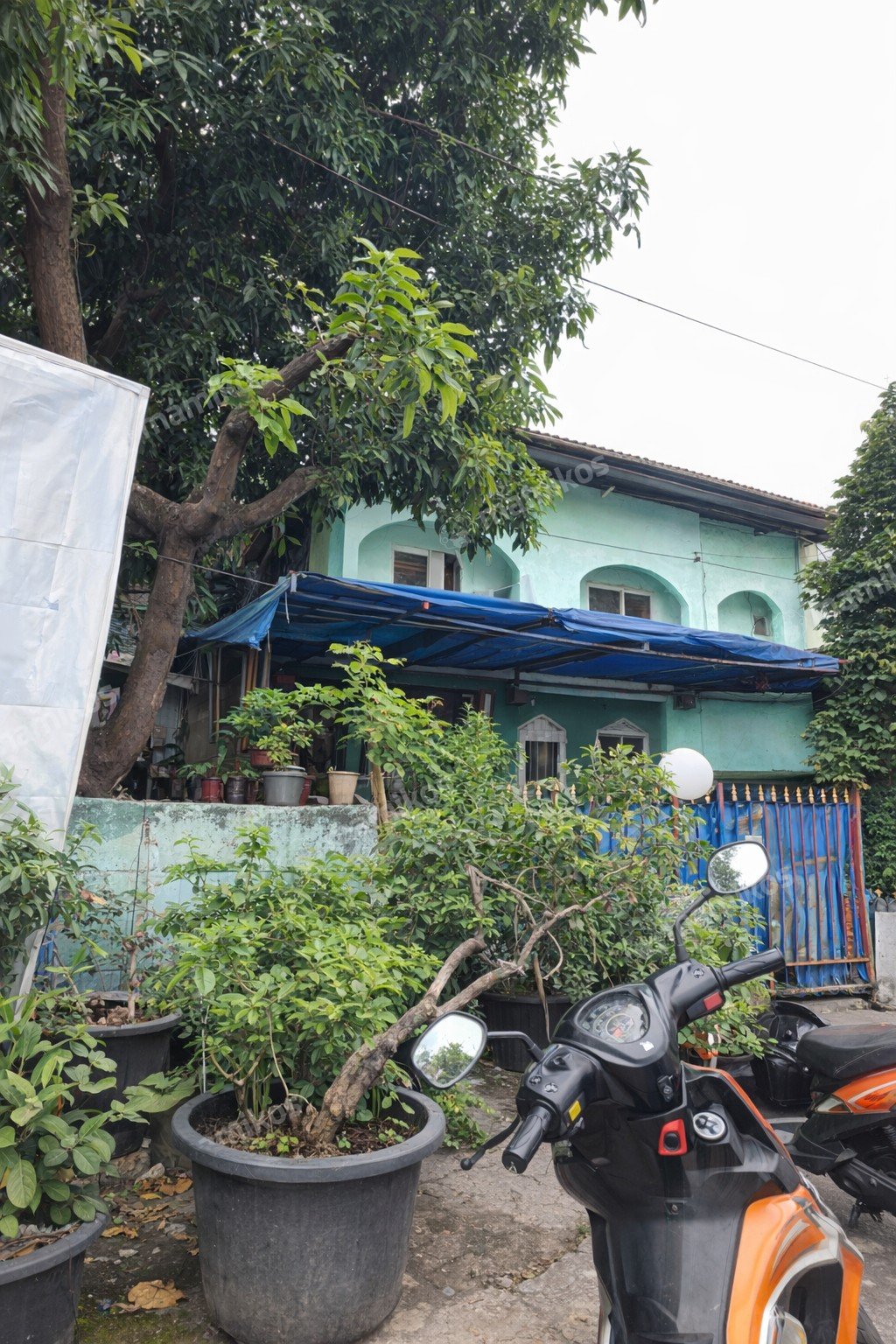 Rumah Sertifikat SHM 3 Kamar Tidur 3 Kamar Mandi Pulo Gadung Jakarta Timur - Photo 4