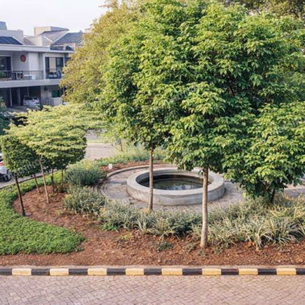 Rumah Sertifikat SHM 6 Kamar Tidur 5 Kamar Mandi Cengkareng Jakarta Barat - Photo 3