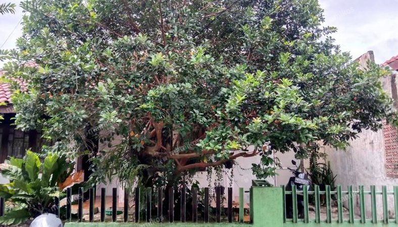 Rumah 4KT 2KM Ciomas Bogor