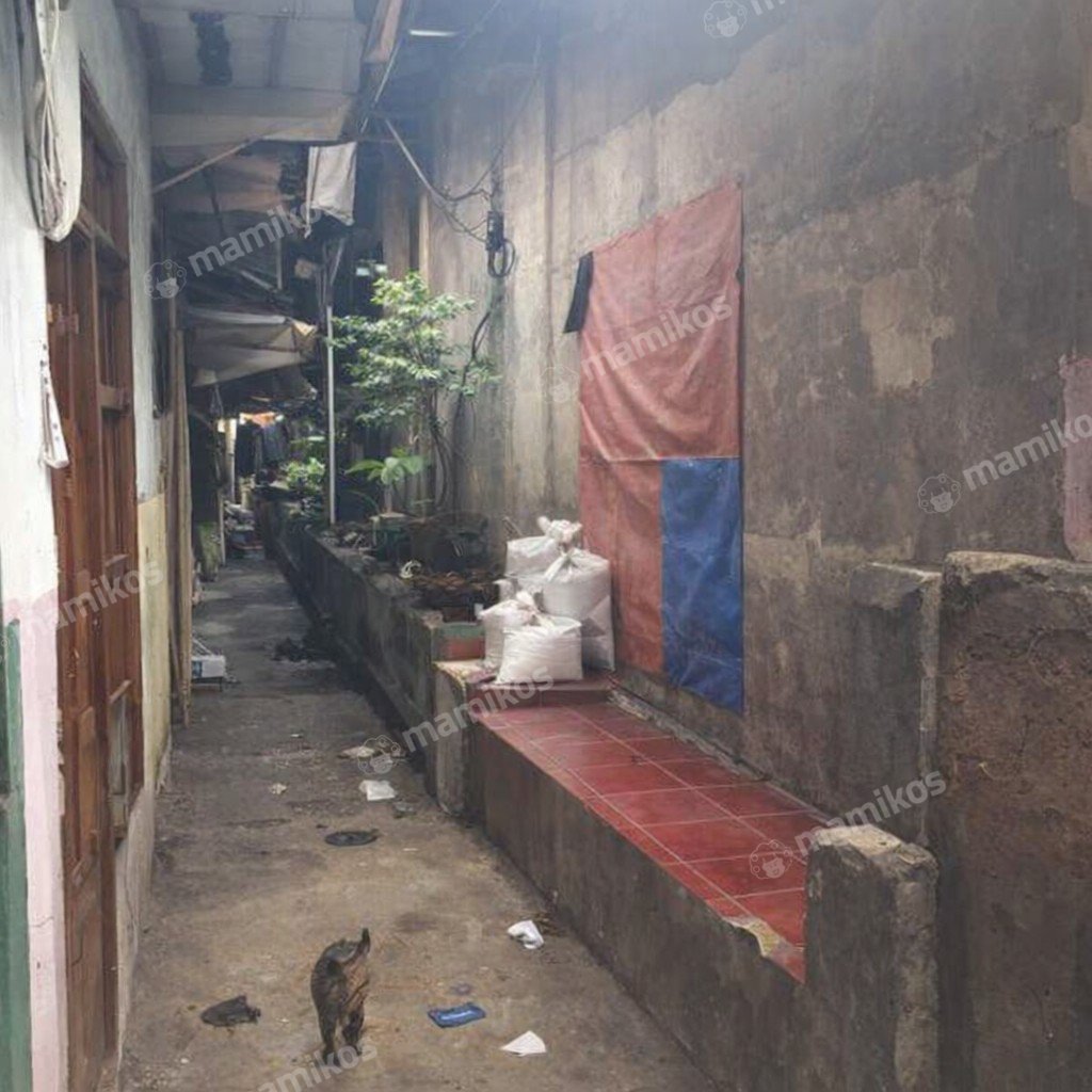 Rumah 7 Kamar Tidur 1 Kamar Mandi 1 Lantai Tambora Jakarta Barat - Photo 2