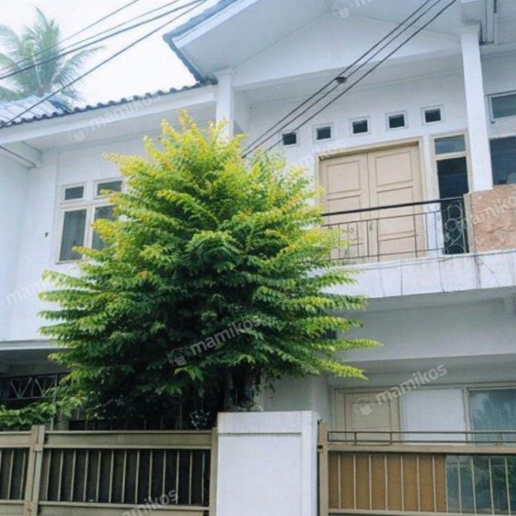 Rumah Sertifikat SHM 3 Kamar Tidur 3 Kamar Mandi Tebet Jakarta Selatan - Photo 4