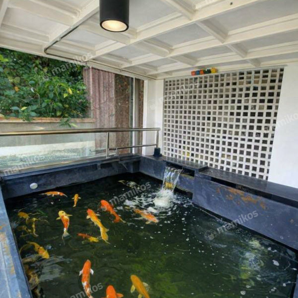 Rumah Sertifikat SHM 4 Kamar Tidur 3 Kamar Mandi Pulomas Jakarta Timur - Photo 3