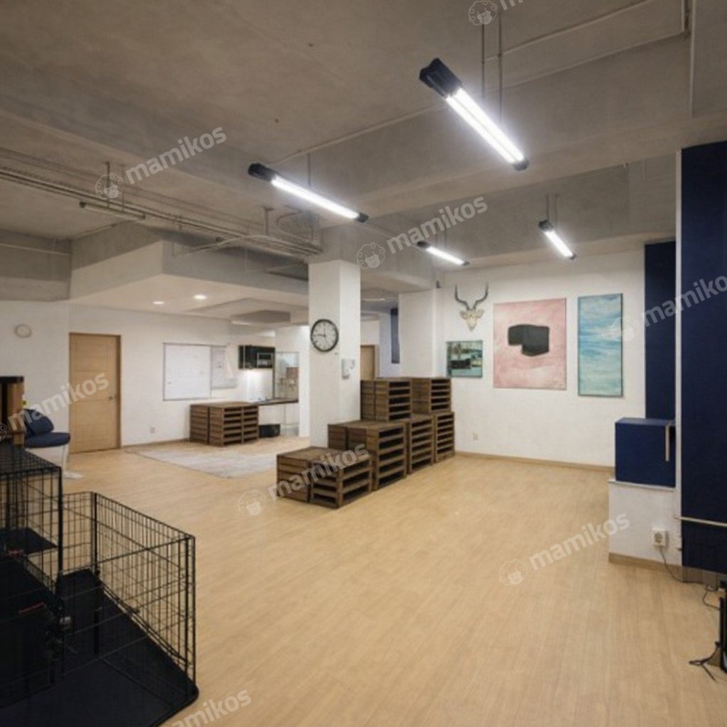 Rumah Sertifikat SHM 4 Kamar Tidur 3 Kamar Mandi Kebayoran Baru Jakarta Selatan - Photo 5