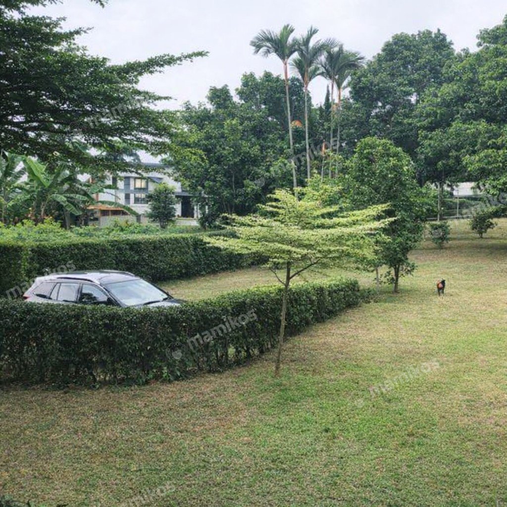 Rumah Sertifikat SHM 5 Kamar Tidur 5 Kamar Mandi Lebak Bulus Jakarta Selatan - Photo 2
