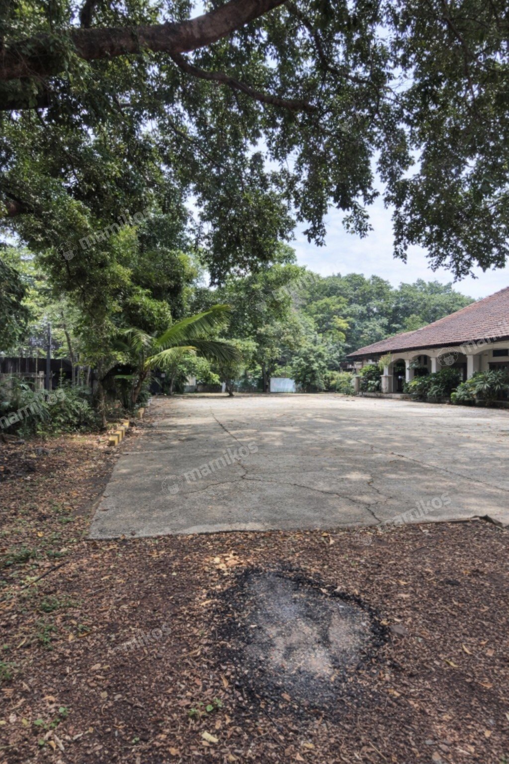 Rumah Sertifikat SHM 7 Kamar Tidur 4 Kamar Mandi Lebak Bulus Jakarta Selatan - Photo 4