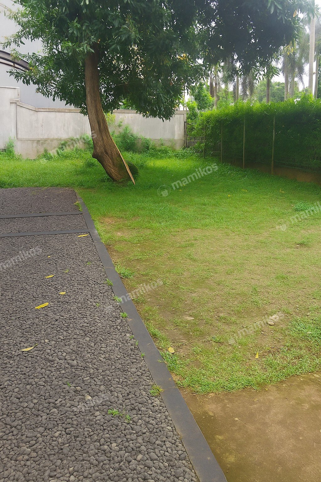 Rumah Sertifikat SHM 6 Kamar Tidur 4 Kamar Mandi Duren Sawit Jakarta Timur - Photo 4