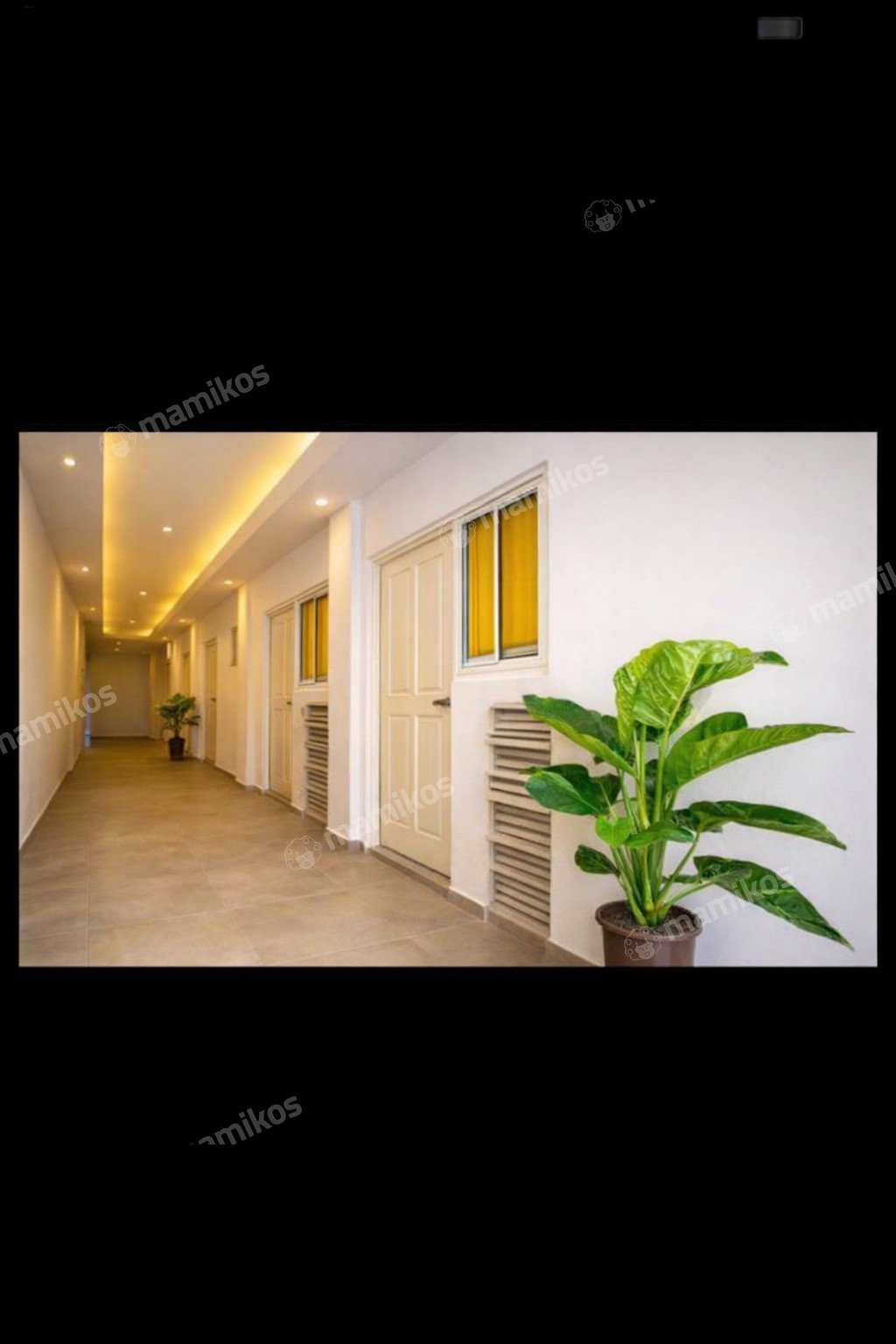 Rumah Sertifikat SHM 32 Kamar Tidur 32 Kamar Mandi Mangga Besar Jakarta Barat - Photo 2