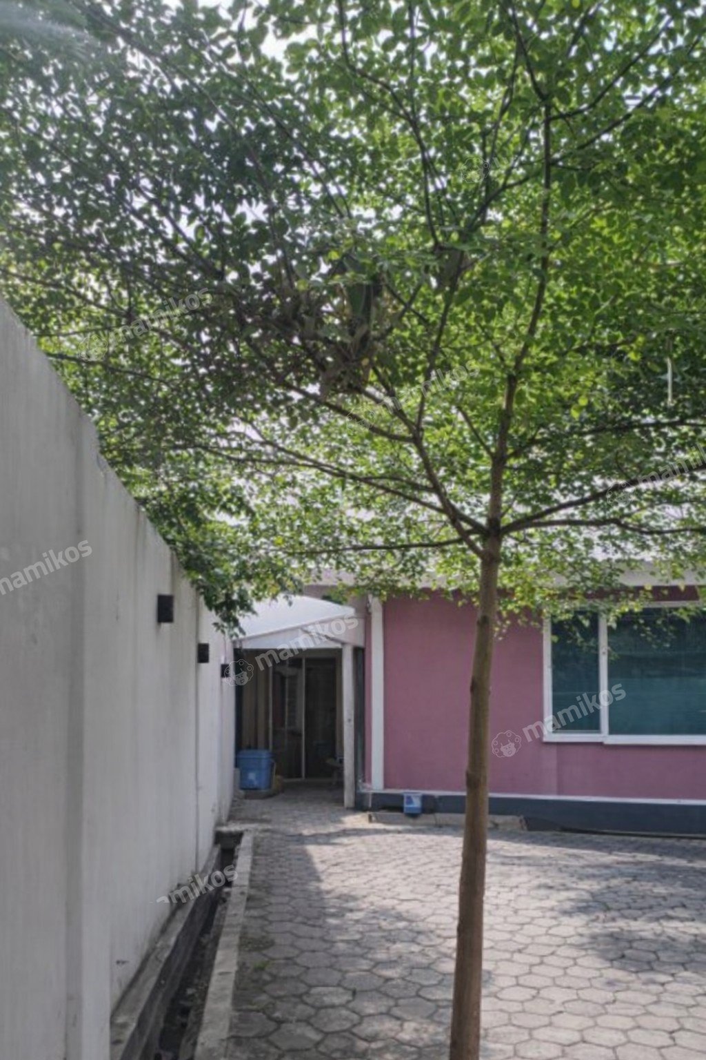 Rumah Sertifikat HGB 3 Kamar Tidur 3 Kamar Mandi Jati Padang Jakarta Selatan - Photo 5