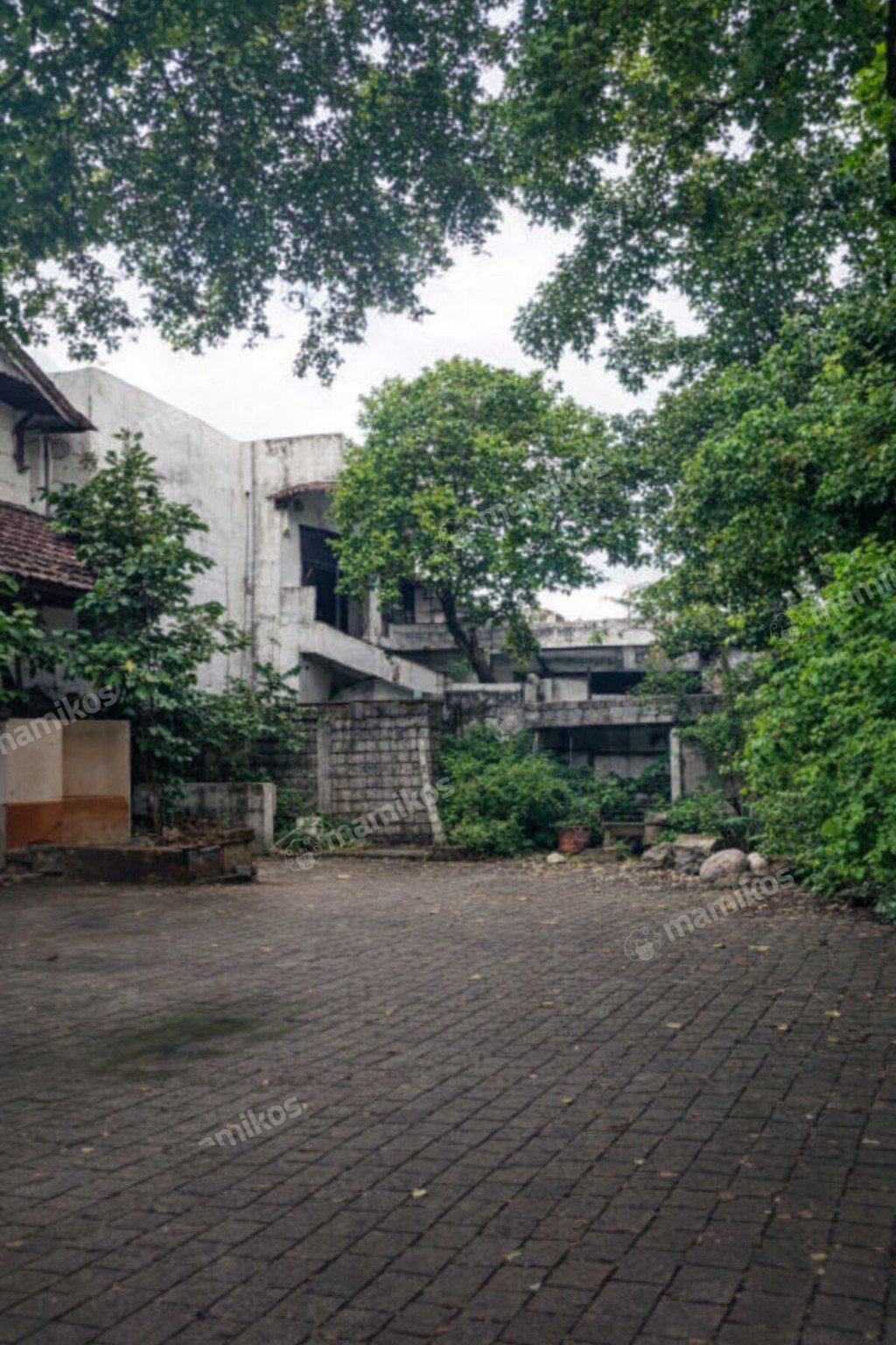 Rumah Sertifikat SHM 4 Kamar Tidur 4 Kamar Mandi Duren Tiga Jakarta Selatan - Photo 4