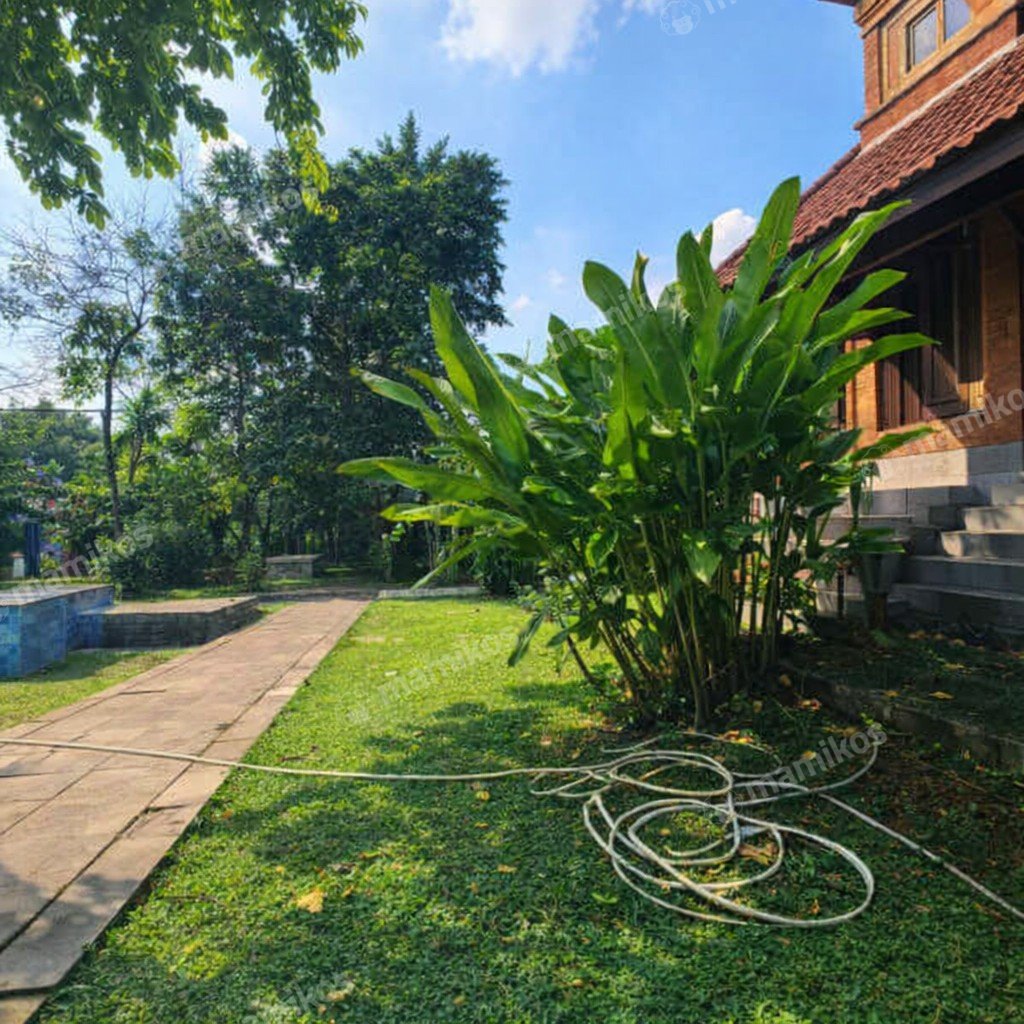 Rumah Sertifikat SHM 2 Kamar Tidur 3 Kamar Mandi Cirendeu Jakarta Selatan - Photo 4