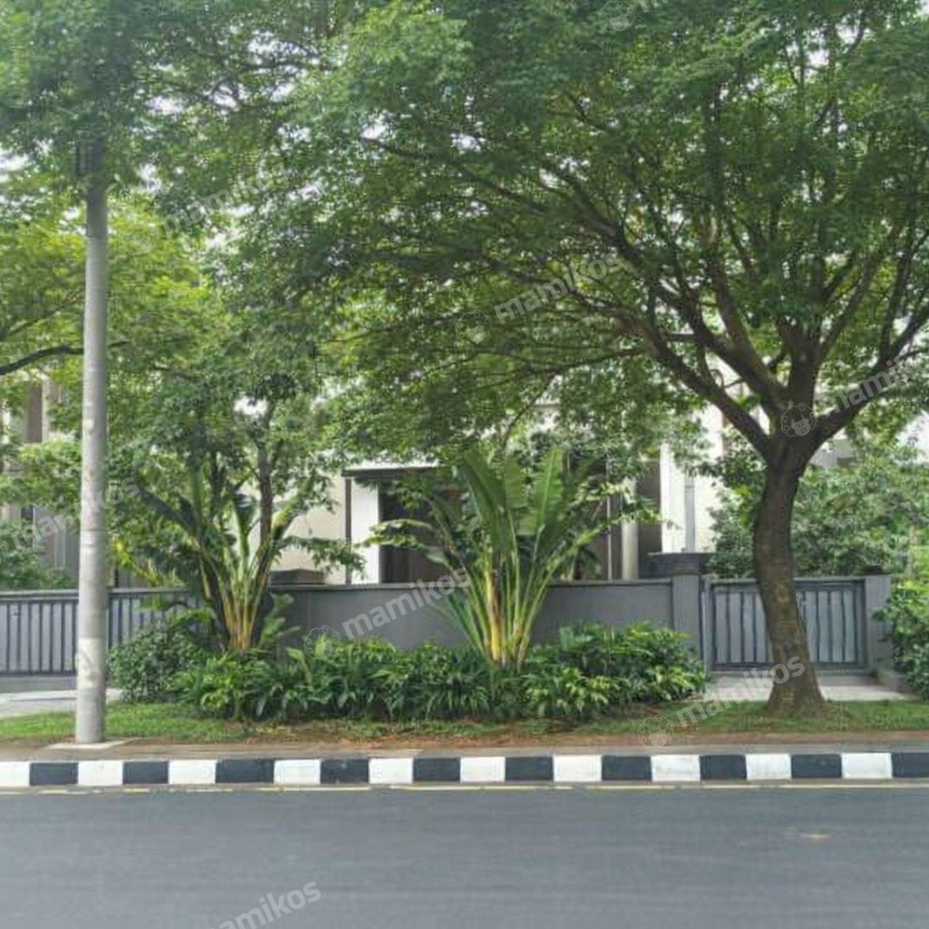 Rumah Sertifikat SHM 6 Kamar Tidur 5 Kamar Mandi Permata Buana Jakarta Barat - Photo 5
