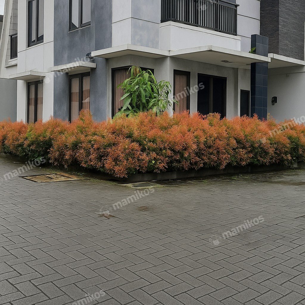 Rumah Sertifikat SHM 3 Kamar Tidur 3 Kamar Mandi Ciganjur Jakarta Selatan