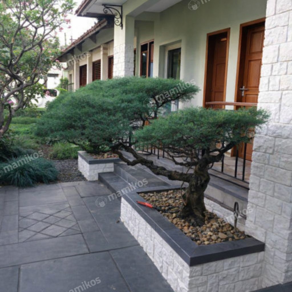 Rumah 5KT 3KM Kebayoran Lama Jakarta Selatan - Photo 2