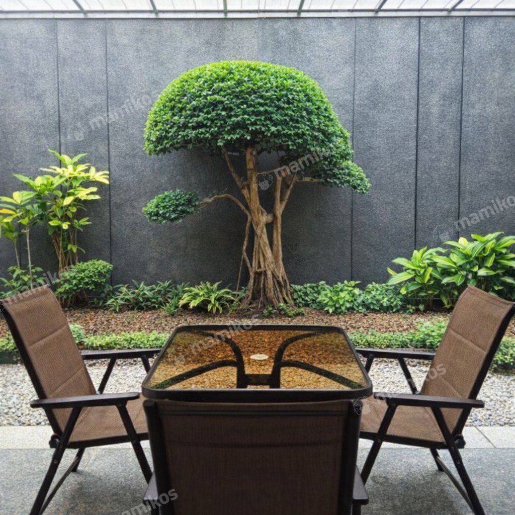 Rumah 5KT 3KM Kebayoran Lama Jakarta Selatan - Photo 5