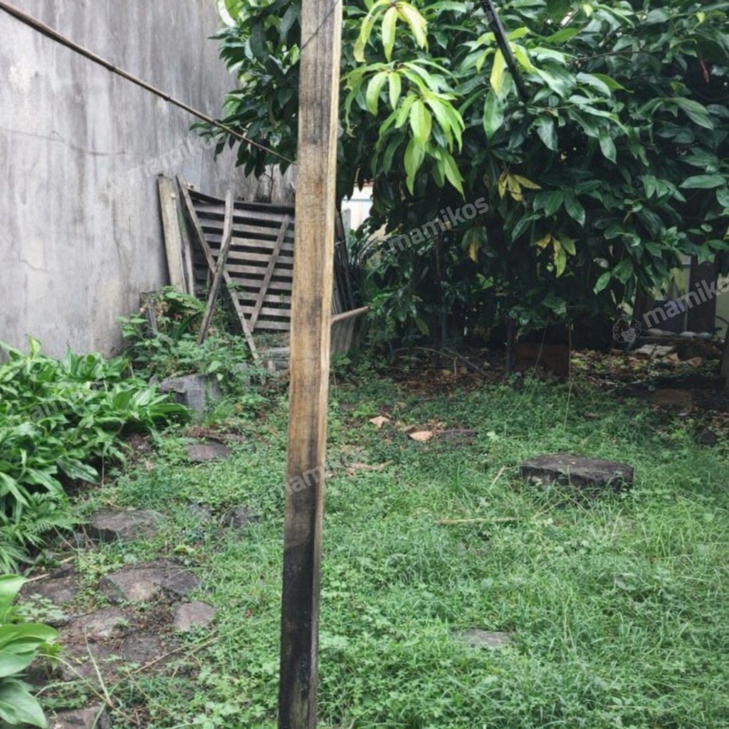 Rumah Sertifikat SHM 3 Kamar Tidur 2 Kamar Mandi Kemang Jakarta Selatan - Photo 2